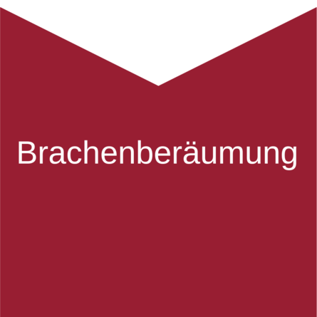 Brachenberäumung