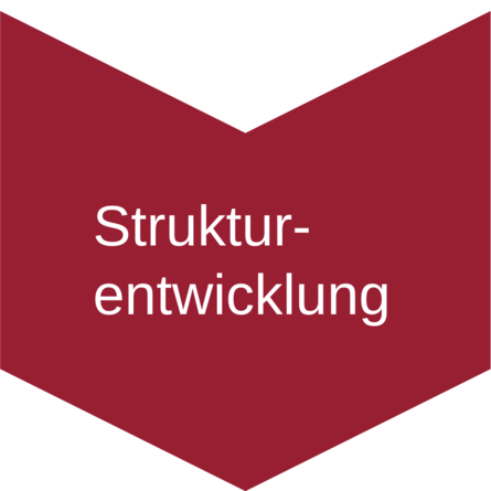 Strukturentwicklung