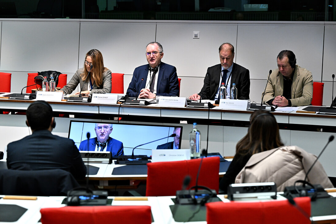 Perspective of a meeting participant on the podium while Thomas Schmidt presents his report.